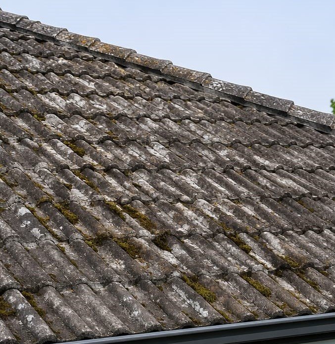 WhatsApp Image 2026-04-10 at 3.23.33 AM WhatsApp Image 2026-04-10 at 3.23.33 AM