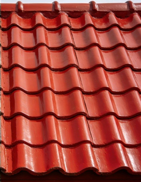 WhatsApp Image 2026-04-10 at 4.37.03 AM (1)